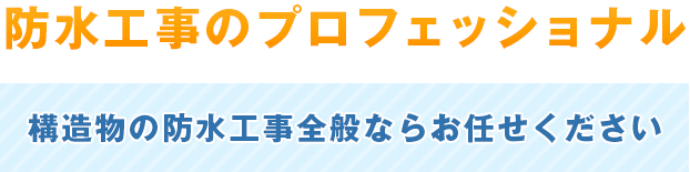 防水工事のプロフェッショナル